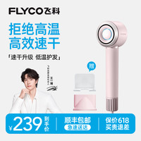 值友专享：飞科 【搭配挂架】飞科高速吹风机负离子速干不伤发家用电吹风-FH6371