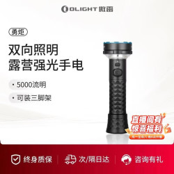 傲雷 Prowess 强光手电筒长续航露营灯