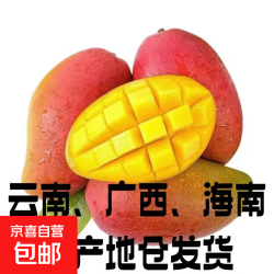 京东 新鲜贵妃芒时令水果 自然催熟多汁整箱现采现发应季水果包邮 带箱9斤净重8.5斤 单果100