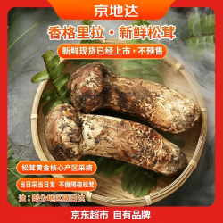 京地达 云南新鲜野生松茸3-5cm 净重100g