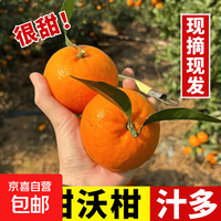 京东 正宗水果云南薄皮新鲜好吃高山不贵整箱批发包邮 -沃柑好吃薄皮