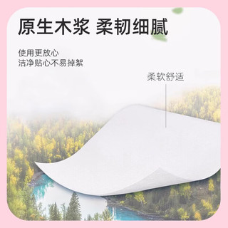 丽邦 5层加厚无芯卷纸 57.1g*42卷 卫生纸
