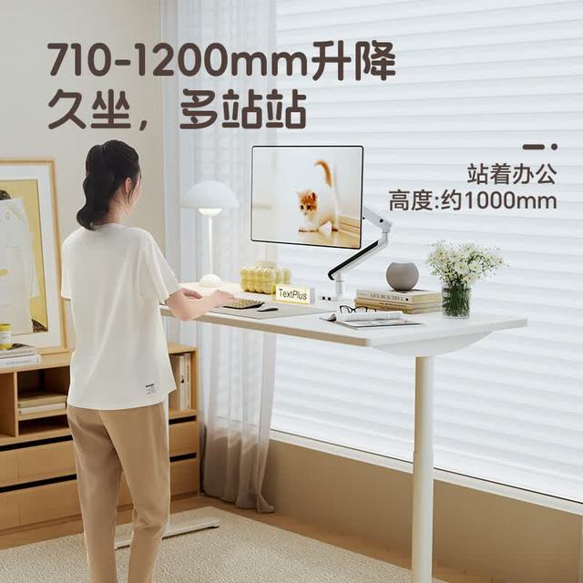 乐歌 E8S 电动升降桌 1.2m 慕斯白