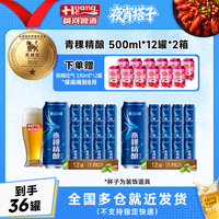 值友专享:青海湖 【京东送货上门】青海湖精酿青稞罐装 麦汁10.0°P到手24罐*500ml,下单再送杨梅吐气330ml*12罐