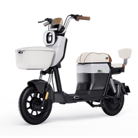 潮美 Neo1 新国标电动自行车 透明 48V20Ah