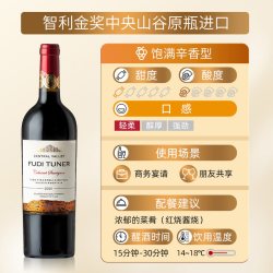 福蒂特娜 智利原瓶 13度 干红葡萄