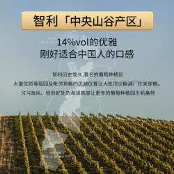 福蒂特娜 智利赤霞珠干红葡萄酒 14