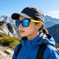 帕艾思 PAIS 帕艾思 偏光太阳镜 9020