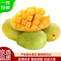玖原农珍 攀枝花凯特芒当季优选芒果 含箱5斤净果4.5斤300g-500g
