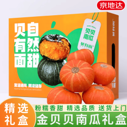 京地达 山东金贝贝南瓜净含量4.5斤礼盒装