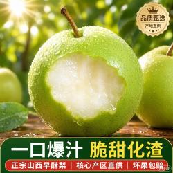 京世泽 山西早酥梨 净4.5斤 单果65mm以上
