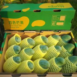 樱鲜 广西 桂七芒 4.5斤装 特大果 单果250克+