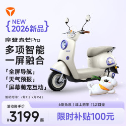 雅迪 摩登麦芒Pro 电动轻便摩托车