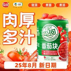 屯河 番茄块 400g*1瓶