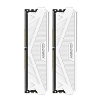 GLOWAY 光威 天策系列 DDR5 4800MHz 台式机内存 马甲条 皓月白 32GB 16GBx2