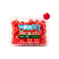 淘金币可用、88VIP:一颗大 樱桃番茄 甄选礼盒 428*4盒