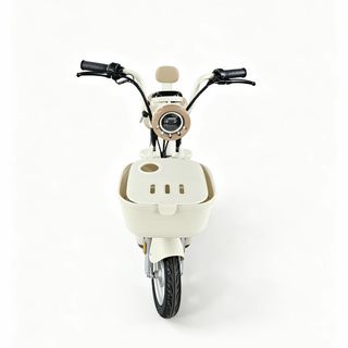 雅迪 C12s-g 新国标智能蓝牙电动自行车
