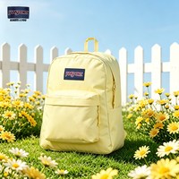 JANSPORT 青少年电脑背包 4QUE85X 15英寸