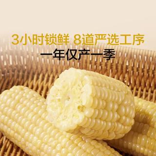 1号会员店 白糯玉米 200g*8根 东北粘鲜玉米棒