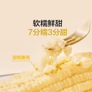 1号会员店 白糯玉米 200g*8根 东北粘鲜玉米棒