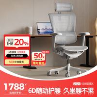 Ergonor 保友优b2/雄鹰 电脑椅人体工学椅家用 电竞椅办公椅子靠背老板椅 灰框-银白网-尼龙脚 精准承托 舒适久坐