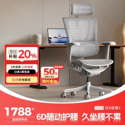 Ergonor 保友优b2/雄鹰 电脑椅人体工学椅家用 电竞椅办公椅子靠背老板椅 灰框-银白网-尼龙脚 精准承托 舒适久坐