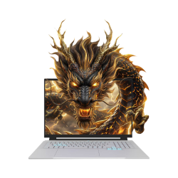 机械革命 苍龙16Pro R9-9955HX RTX5070 32GB+1TB 灰色 游戏本