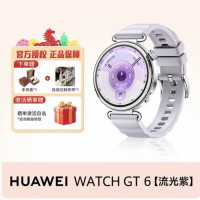 淘金币可用：华为 WATCH GT6智能手表 41mm流光紫氟橡胶表带