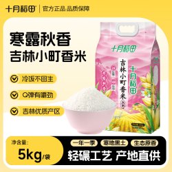 十月稻田 吉林小町香米 东北香米 5kg