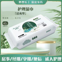 妙婴乐私护湿巾女性护理卫生湿纸巾免洗湿厕纸40抽×12大包共480抽