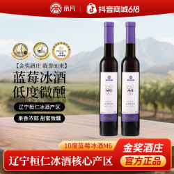 帝月 蓝莓冰酒 甜酒 375ml