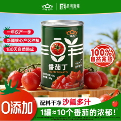 冠农股份 新疆番茄丁罐头 400g/罐