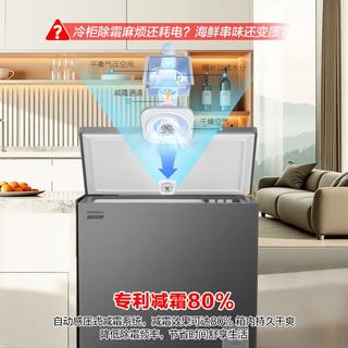 容声 BD/BC-200E20HNLBD 变频一级能效 200L 单温冰柜