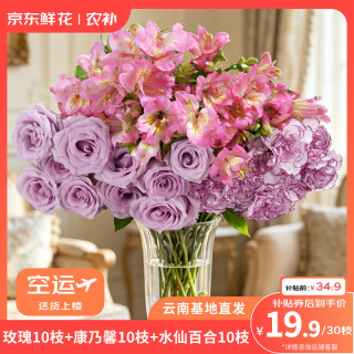 京东鲜花 鲜花玫瑰10枝+随机色康乃馨10枝送六初10枝3束鲜花节日礼物源头直发