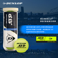邓禄普 网球ATP巡回赛用球3粒装胶罐训练球整箱24筒601332
