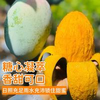 京鲜生 四川凯特芒果 4kg 单果400g+