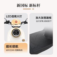 台铃 青果 600W电机 电动摩托车