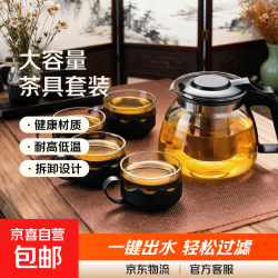 无品牌信息 玻璃茶壶套装 大容量耐高温水壶茶具带滤网 1000ML透明
