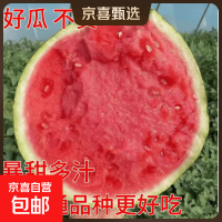 麒麟美都 头茬无籽西瓜 5-7斤 新鲜现摘