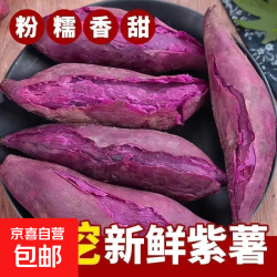 山东 紫薯 紫罗兰沙地现挖 2斤 单果1-3两