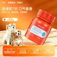 华大 宠乐 宠物营养补充剂复合活性益生菌片 200片*1瓶