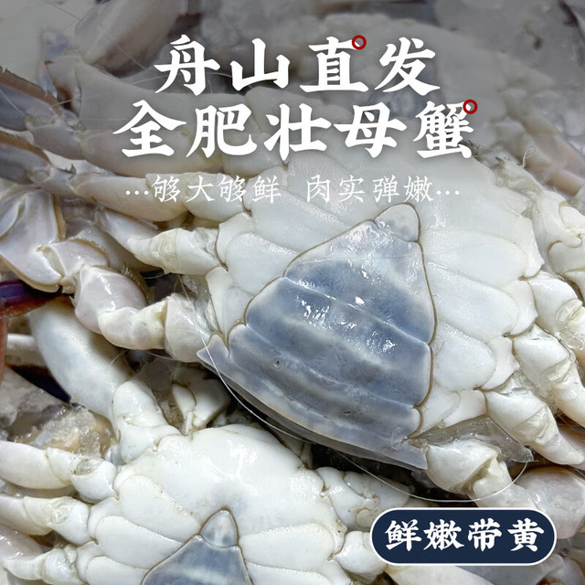 鲜喜利 舟山梭子蟹 鲜活超大母蟹4-6两/只 净重4斤