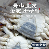 鲜喜利 舟山梭子蟹 鲜活超大母蟹4-6两/只 净重4斤