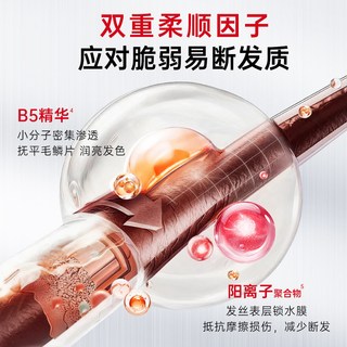 卡蓓诺 防脱洗发水