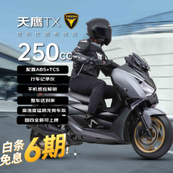 天鹰 TX250E 豪华版 250cc 燃油踏板摩托车
