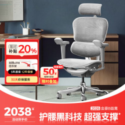 Ergonor 金豪B 2代 人体工学电脑椅 银白色 美国网款