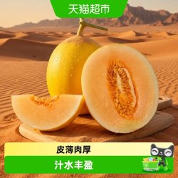 果茹鲜 甘肃民勤蜜瓜甜瓜香瓜哈密瓜甜度高多汁肉质细腻口感好