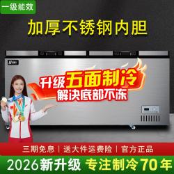 北极川 冰柜商用智能温控卧式大容量冷柜家用冷藏冷冻展示柜冰箱保鲜柜雪糕柜