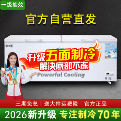 北极川 冰柜商用智能温控卧式大容量冷柜家用冷藏冷冻展示柜冰箱保鲜柜雪糕柜