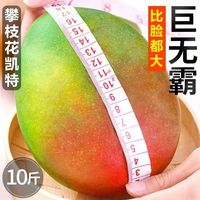 OLOEY 攀枝花 凯特芒 4.5斤装 特大果王 单果600克+